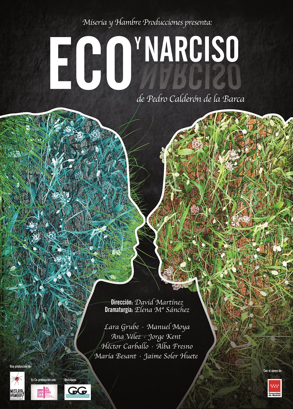 8 de Diciembre: Eco y Narciso