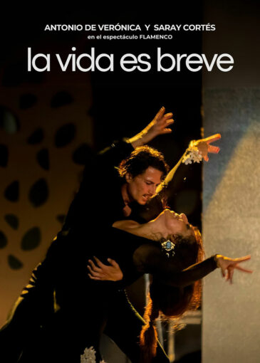 La vida es breve