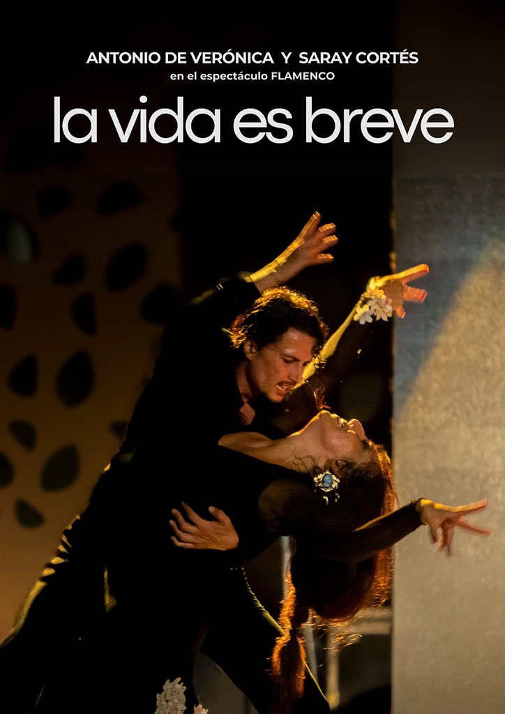 La vida es breve