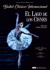 25 de Diciembre<br>EL LAGO DE LOS CISNES.