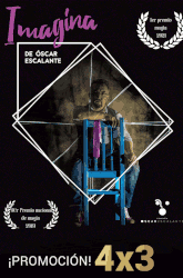 13 de Diciembre<br>IMAGINA.